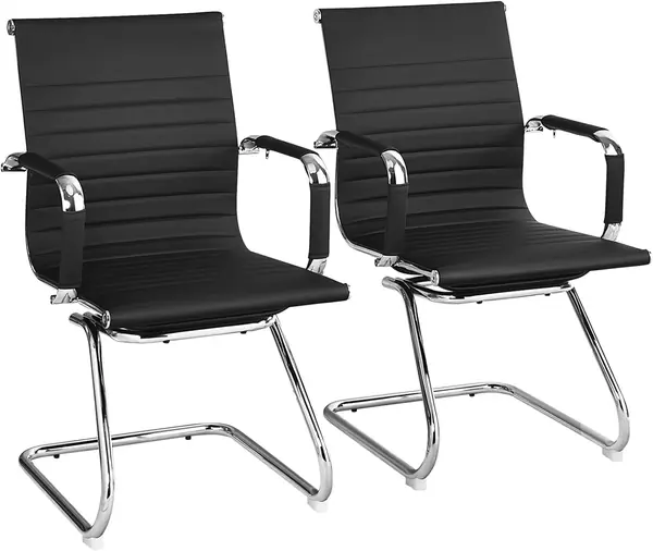 Freischwinger Stühle 2er Set, Besucherstuhl…